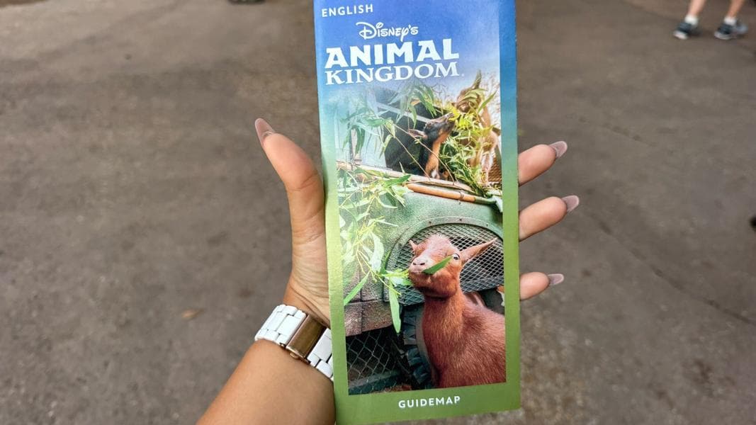Updated Animal Kingdom Guidemap Removes The Boneyard Following Closure