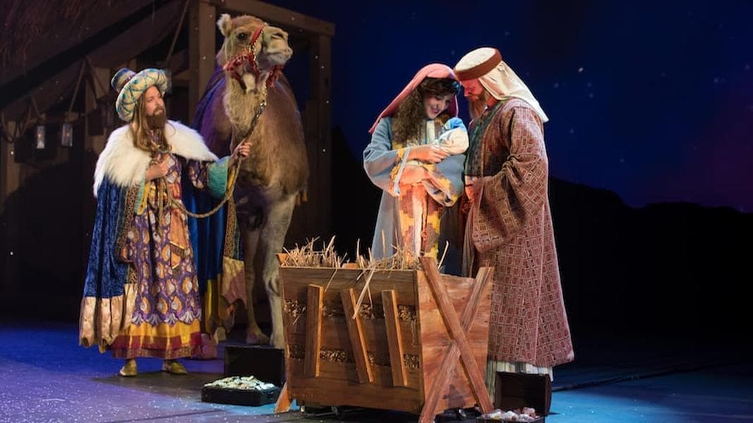 New Latin-inspired event begins Jan. 1 at SeaWorld Orlando