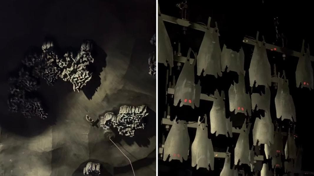 Disney Teases Over 2,000 Bats in Revamped Big Thunder Mountain Railroad