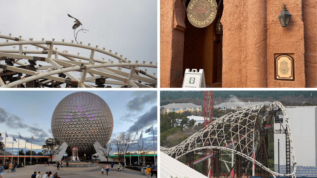 WDWNT Daily Recap (3/6/21): Osprey Builds Nest in Magic Kingdom, Restaurant Marrakesh Menus Removed, Behind the Scenes Look at New EPCOT Music, and More