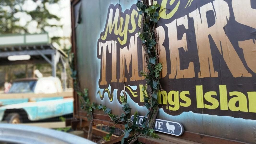 First Rider Auction and More Thoughts on Mystic Timbers