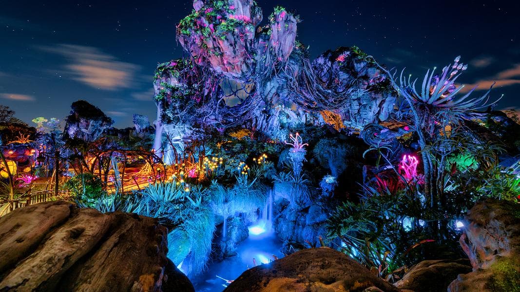 Attractions Announced for 2024 Disney’s Hollywood Studios and Animal Kingdom Extended Evening Hours