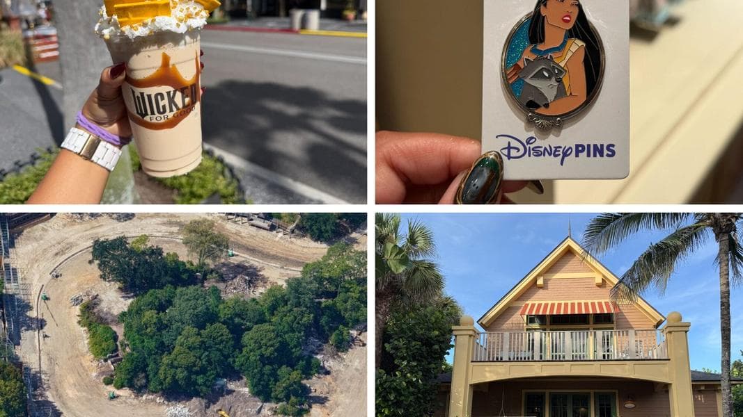 Tom Sawyer Island Buildings Demolished & More: Daily Recap (10/19/25)