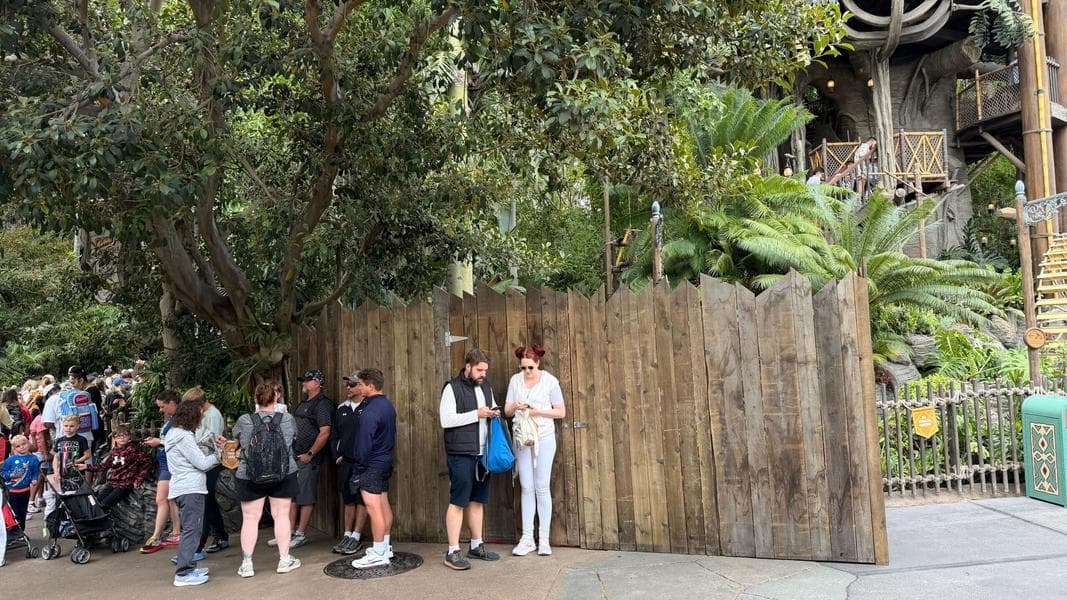 Construction Wall Goes Up Between Indiana Jones Adventure and Adventureland Treehouse