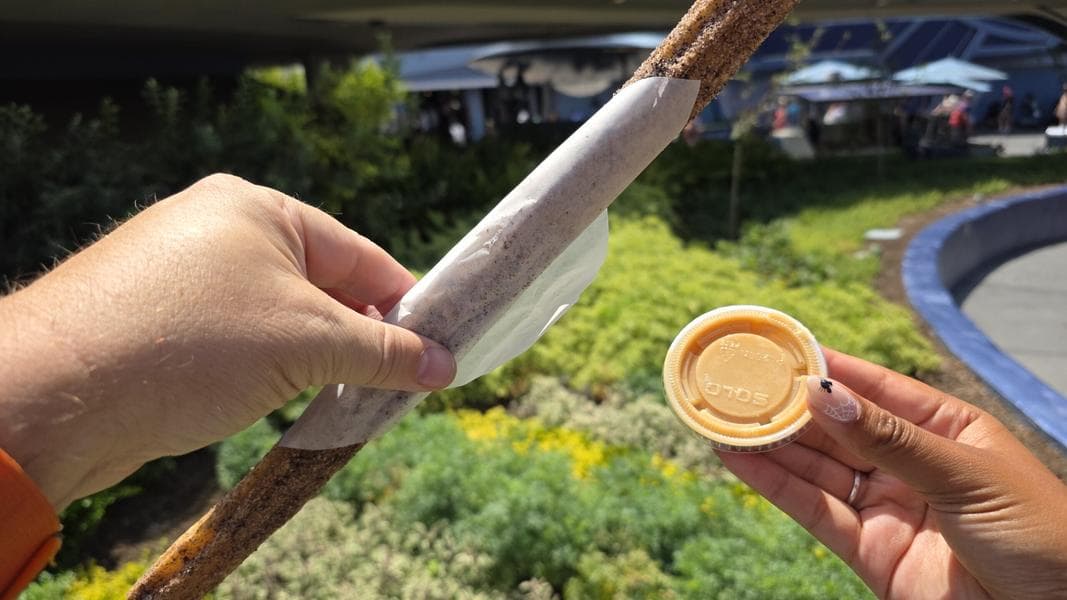 The Disney Churro – History, Locations, and Varieties