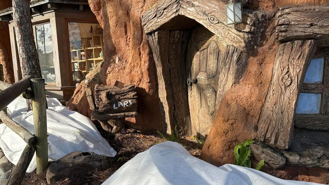 Walt Disney World Prepares for Weekend Freeze