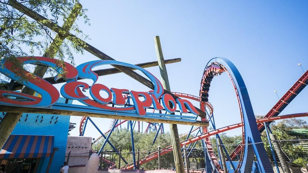 Scorpion coaster closing at Busch Gardens Tampa Bay