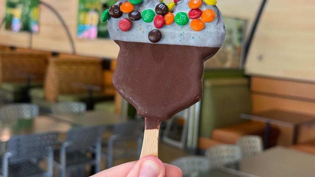 Embrace the Sweetness: Hand-Dipped Mickey Ice Cream Bar with M&M’s at Disney’s All-Star Sports