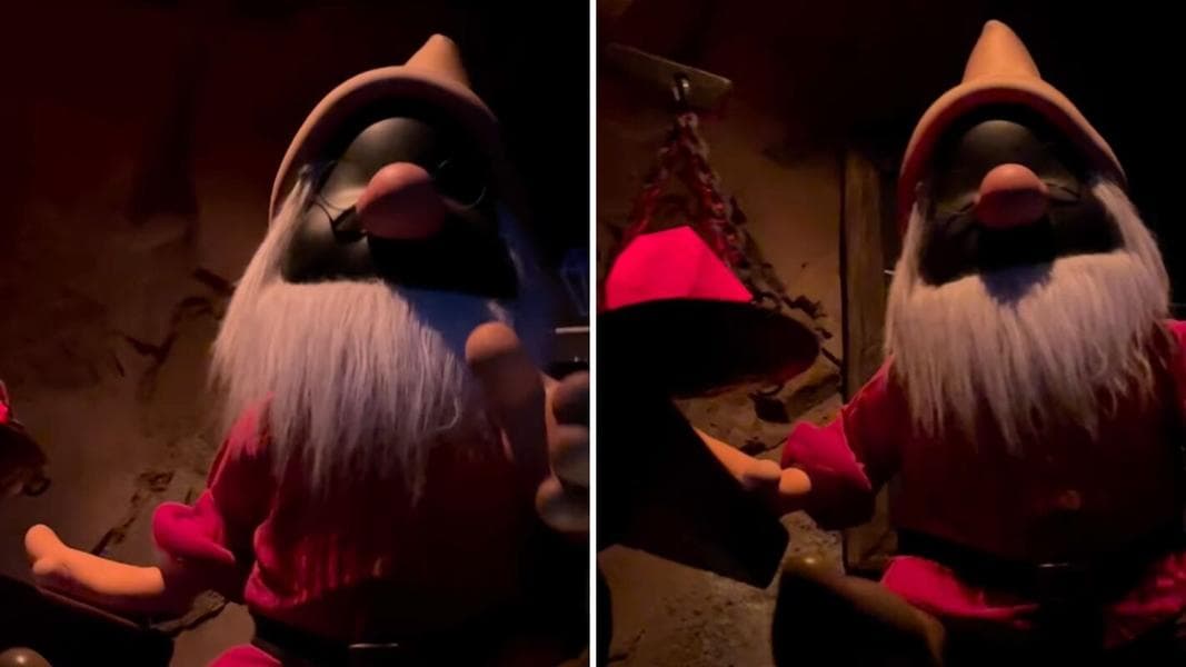 VIDEO: Doc Loses His Face as Projections Fail on Seven Dwarfs Mine Train in Magic Kingdom