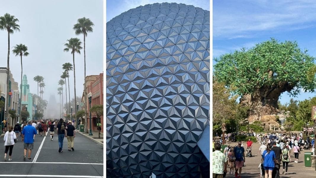 PHOTO REPORT: Disney’s Hollywood Studios, EPCOT, and Disney’s Animal Kingdom 2/4/2025 (Park Hopping, Pin Tuesday, and More Fun)