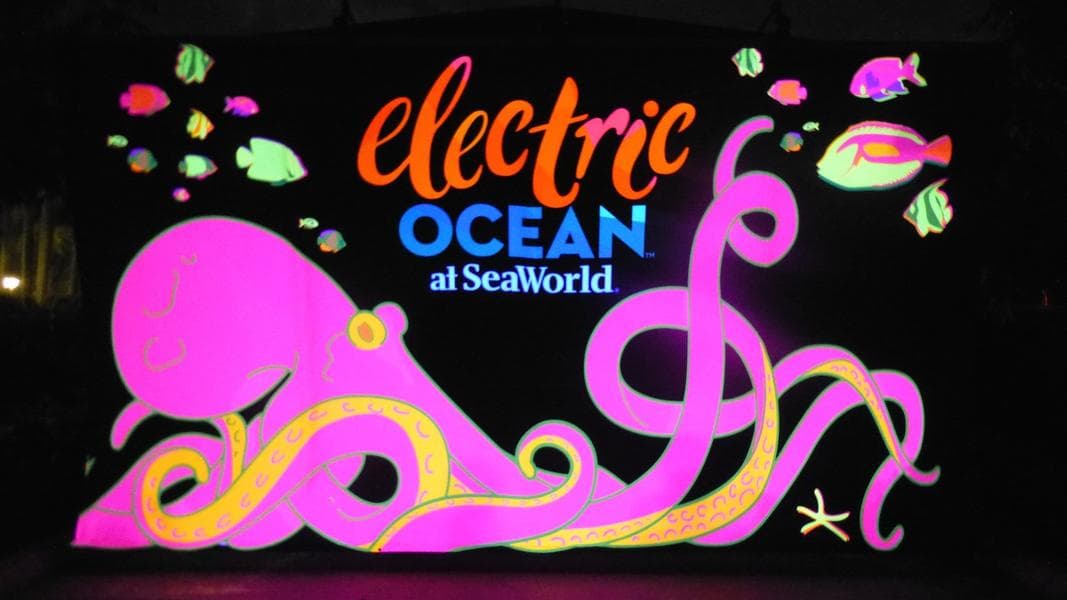 Electric Ocean 2018 Kicks Off at SeaWorld Orlando!