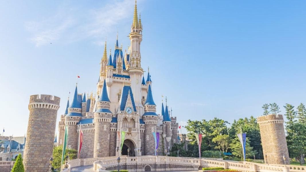 Tokyo Disney Making Disney Premier Access Available Ahead of Visit