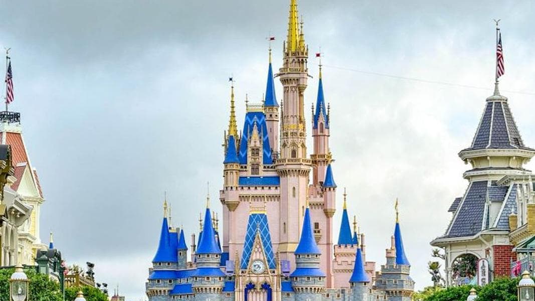 Could This HUGE Change Come to the Disney World App Soon?