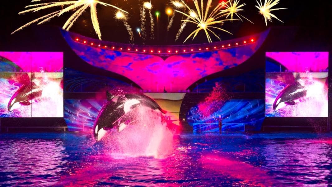 SeaWorld kicks off their summer celebration with two new shows