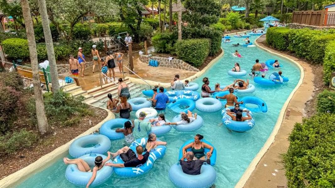 Why Disney Adults Are Suddenly Spending $89