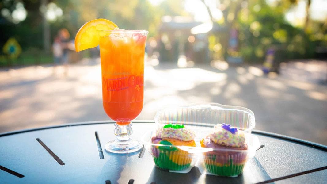 Visiting Busch Gardens Tampa Bay in February