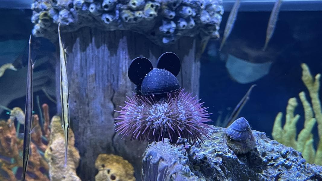 PHOTO REPORT: EPCOT 10/24/2021 (Youth Sweaters Warm Up Creations Shop, New Spooky Treats Arrive at Broadwalk Bakery, and More)