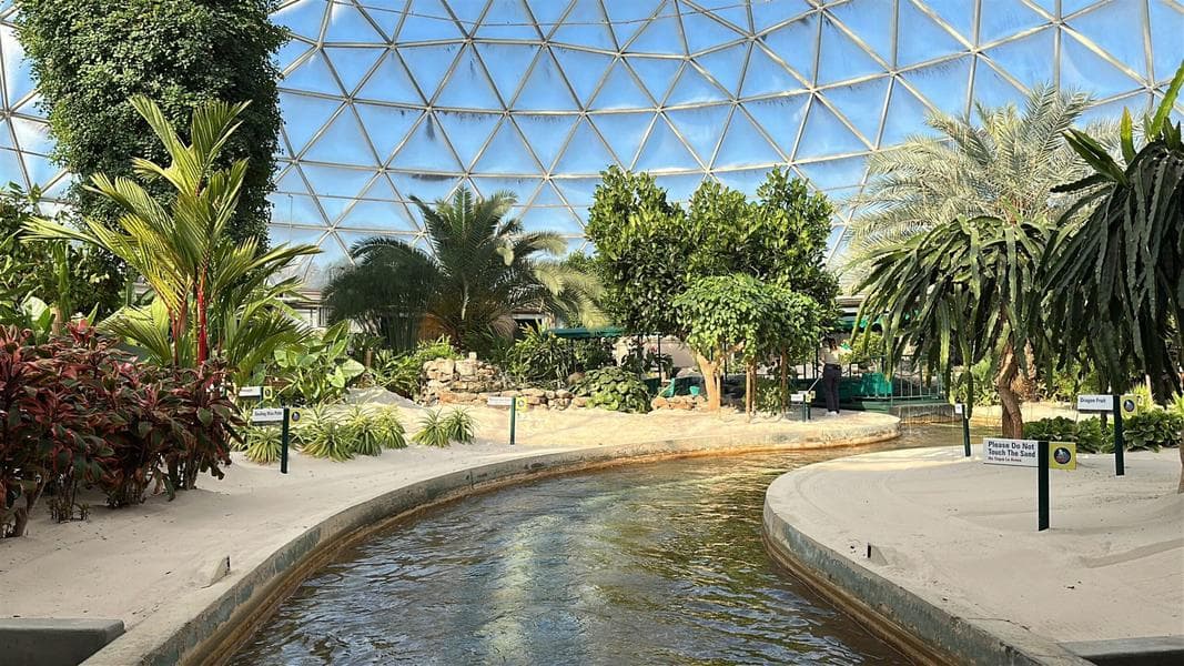 Living With the Land Breadfruit Tree Removed in EPCOT