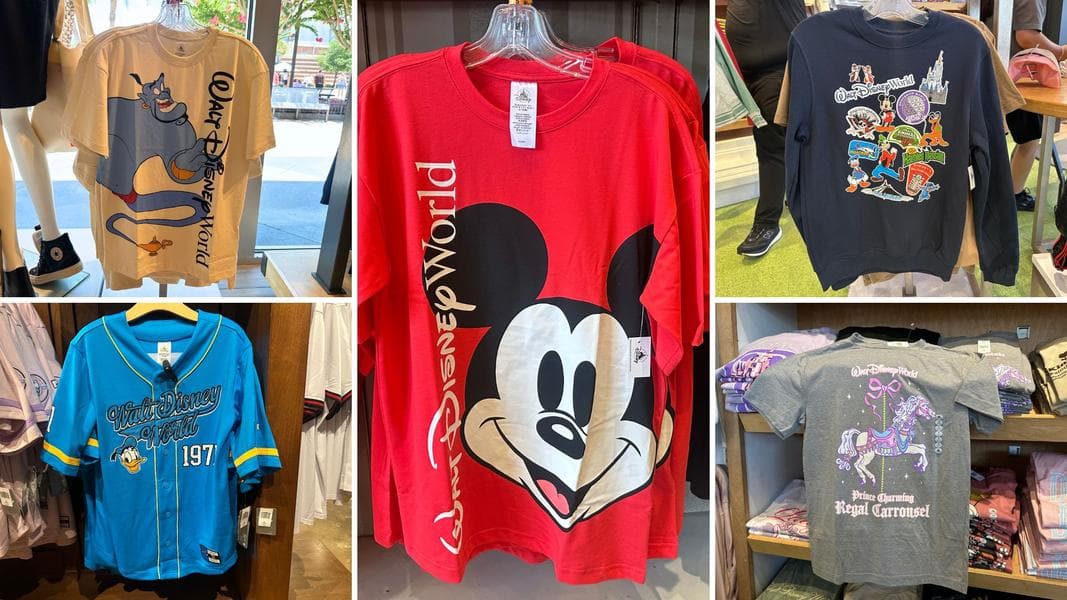 Aladdin, Disney Parks, Mickey & Friends, and More Apparel at Walt Disney World