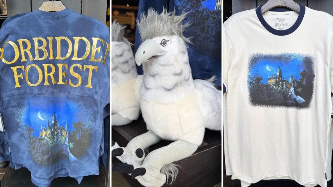 Full List: ‘Harry Potter’ Universal Studios Hollywood Fan Fest Nights Merchandise 2026