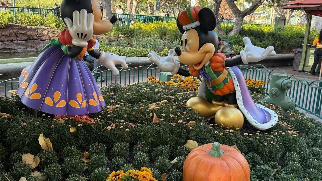 PHOTO REPORT: Disneyland, DCA and DTD 8/13/2025 (Lots of New Merch, Halloween Decoration Update, and Jon Favreau Spotted Filming Oswald)