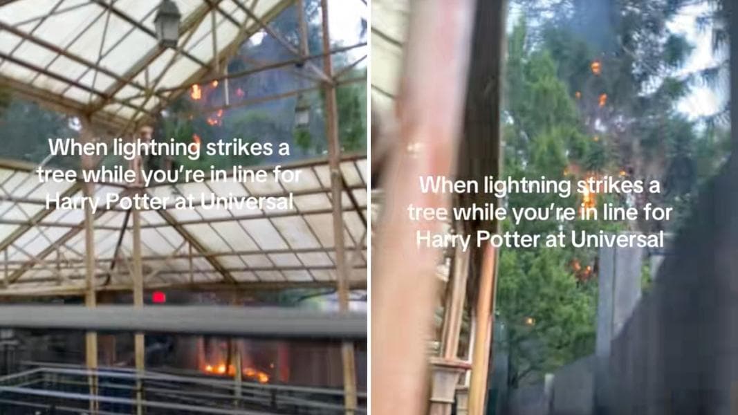 Lightning Sets Tree on Fire Next to Harry Potter and the Forbidden Journey in Universal Orlando