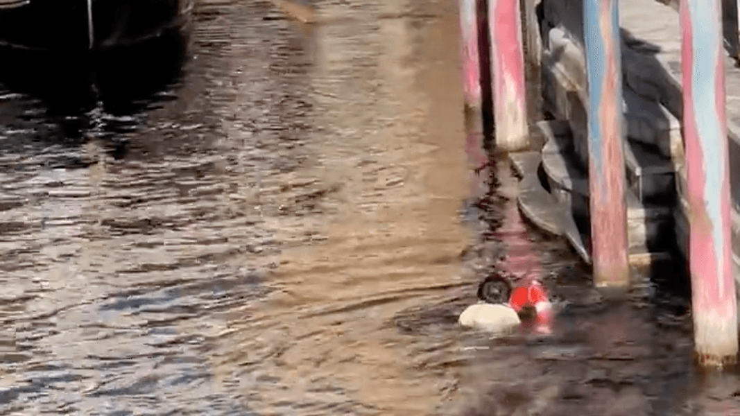 VIDEO: Venetian Gondolas Cast Member Swims Through Canal to Retrieve Oar at Tokyo DisneySea