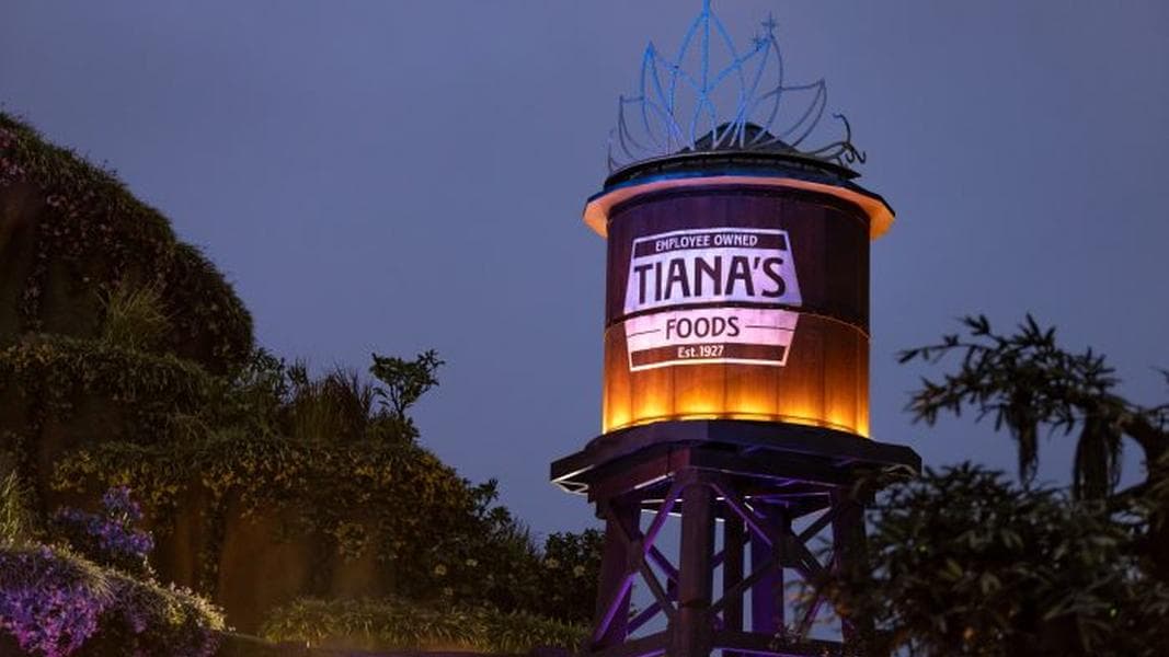 Disney Fans Are Saying You Get TOO Wet on Tiana’s Bayou Adventure. We’re Here to Set the Record Straight.