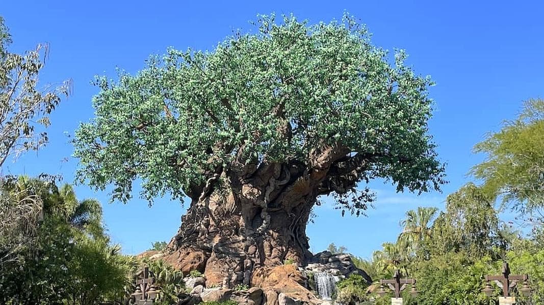 Rope Drop: Chill out with news from Disney, Universal