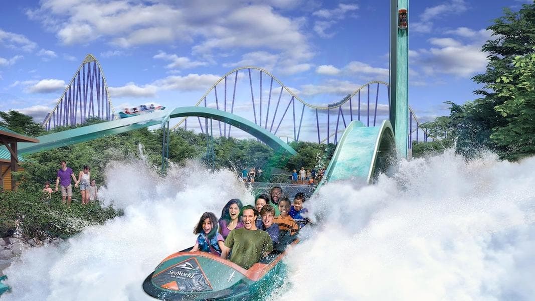 Every SeaWorld in the U.S. debuts new experiences this summer