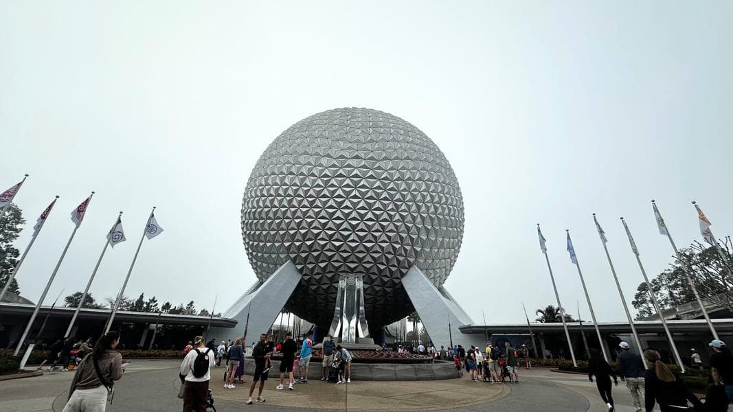 EPCOT Trees Left Damaged After Cold Snap