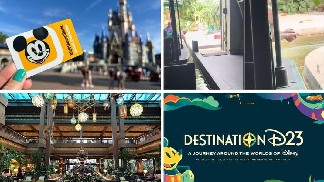 Walt Disney World Annual Pass Down Payment Returns to $205 & More: Daily Recap (6/25/25)