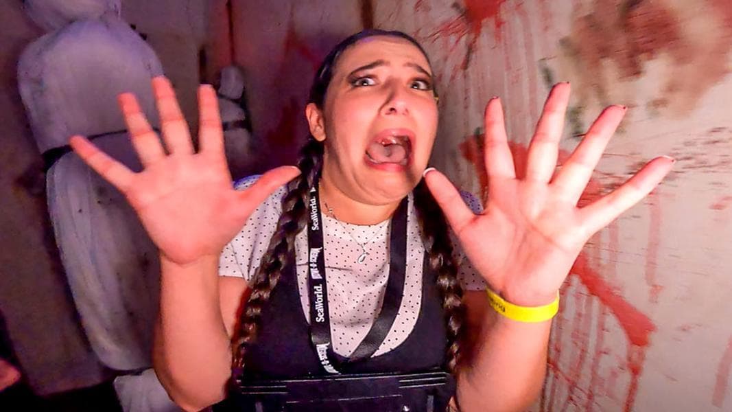 Howl-O-Scream Orlando Top Tips: Everything you need to know