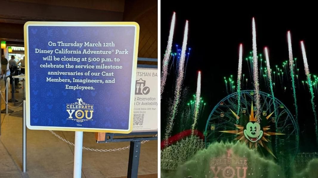Disneyland Resort Honors 3,200 Cast Members for 50,000 Years Worked at ‘Celebrate You’ Special Event