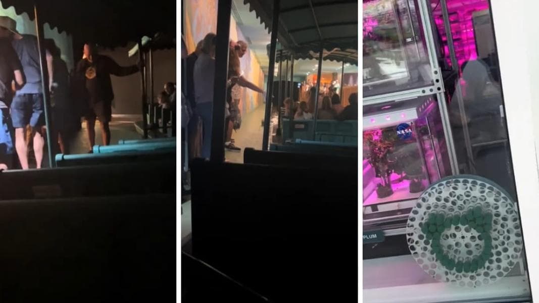 Boat Sinks and Guests Evacuated on Living with the Land at EPCOT