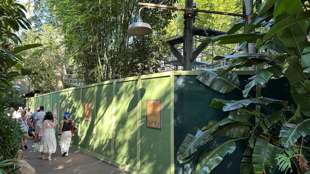 Angola Colobus Monkey Exhibit at Disney’s Animal Kingdom Closed for Months-Long Refurbishment
