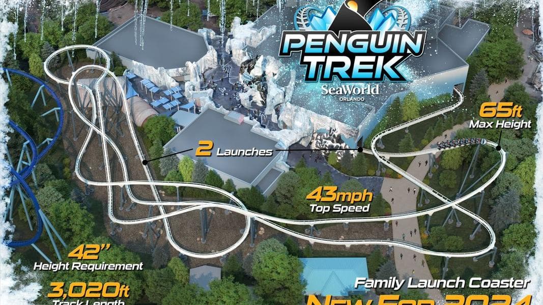 SeaWorld Orlando Announces Penguin Trek Opening Date