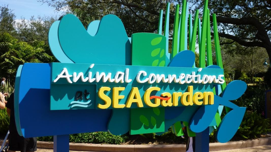 SeaWorld Update: New Attraction Coming to SeaWorld Orlando, Dolphin Nursery Construction and Atlantis Refurb