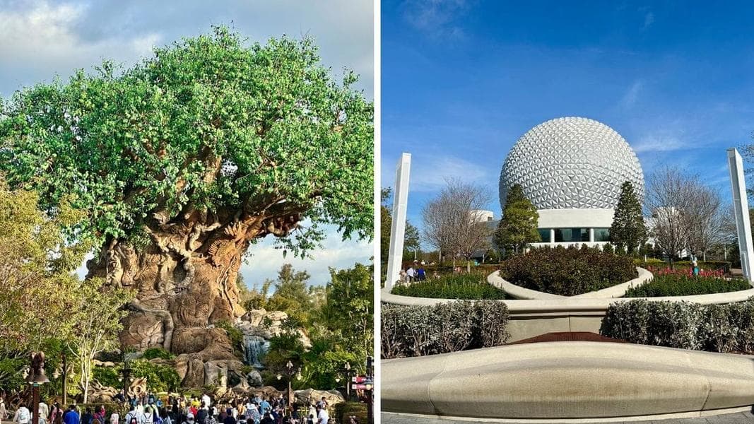 PHOTO REPORT: Disney’s Animal Kingdom and EPCOT 1/28/2025 (Pin Tuesday, Paint By Numbers, and More)