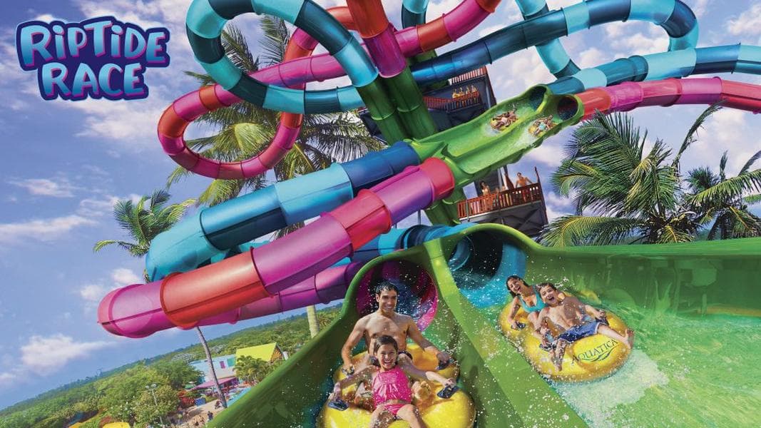 Aquatica Orlando adding dueling water slide in 2020