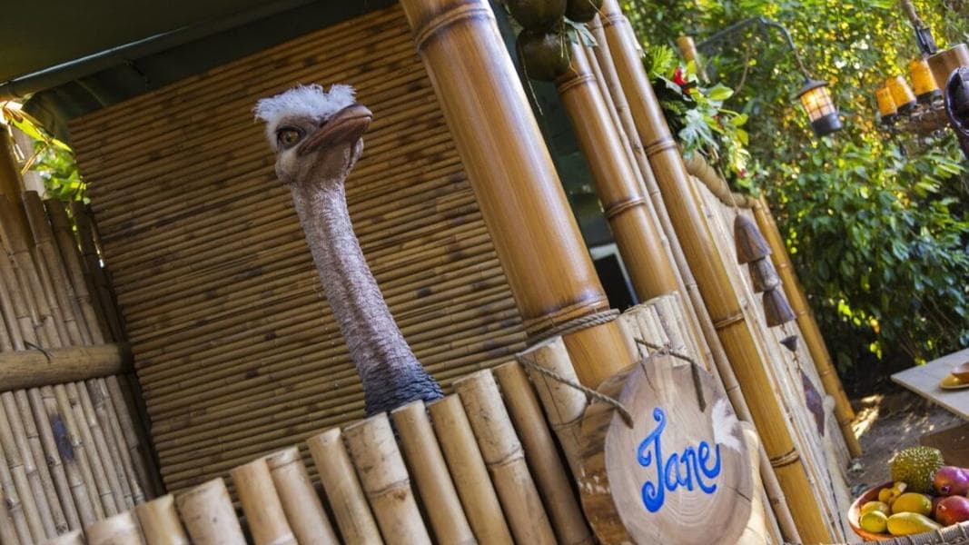 PHOTOS: More Details and Images Shared for Adventureland Treehouse at Disneyland Park, Including S.E.A. Reference