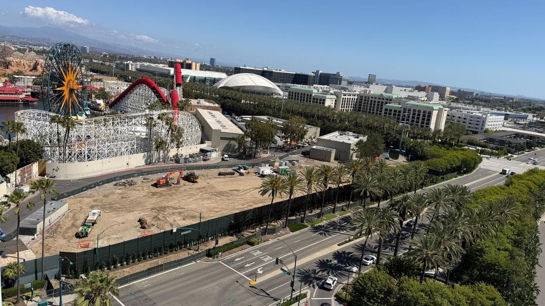 Foliage Cleared From Coco Ride Construction Site, New Trees Planted Outside Disney California Adventure Perimeter