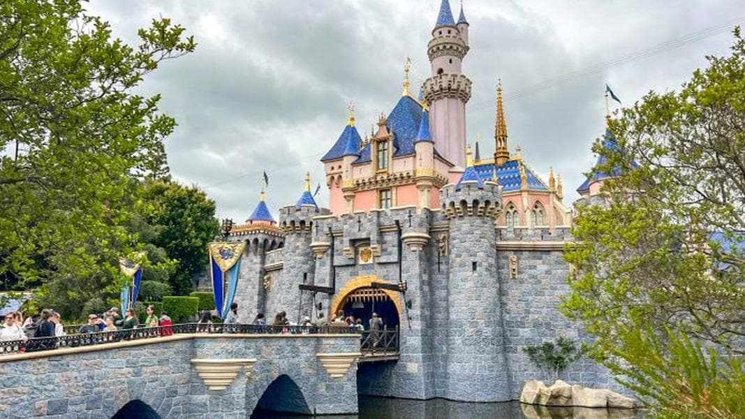 These 7 LEGO Sets From Amazon Will Turn Your House Into a Mini Disneyland!