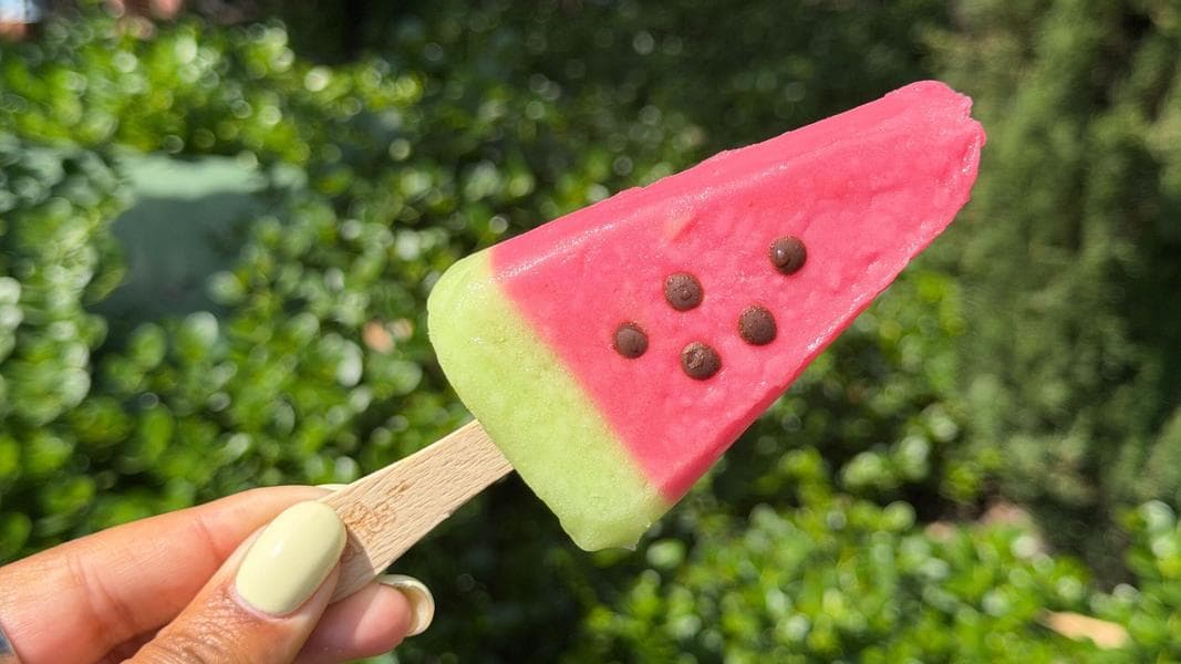 REVIEW: Watermelon Ice Block at Disneyland Park