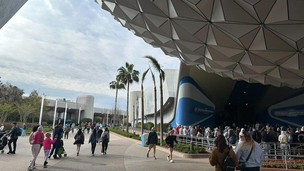 EPCOT Trees Recovering After Left Damaged Due to Cold Snap