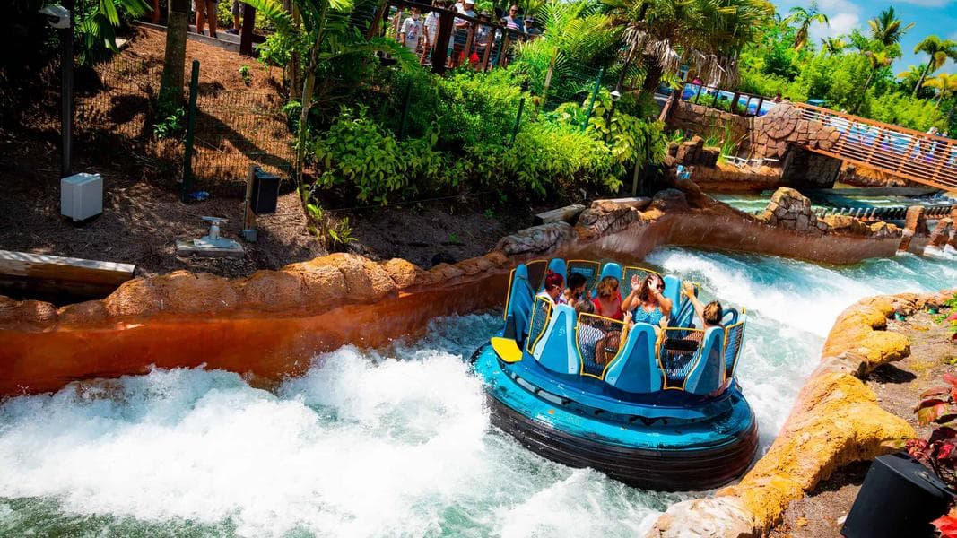 Beat the Heat at SeaWorld Orlando: Essential Tips for a Cool Visit