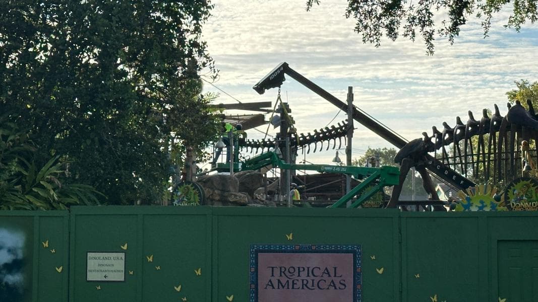 Crews Remove Brachiosaurus Tail From DinoLand Bridge