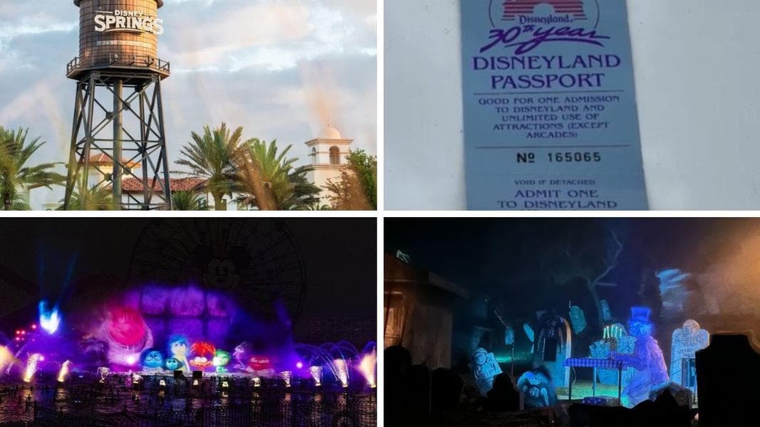 Man Arrested for Leaving Dog in 120-Degree Car at Disney Springs Just Weeks After Puppy Dies in Similar Incident & More: Daily Recap (8/17/24)