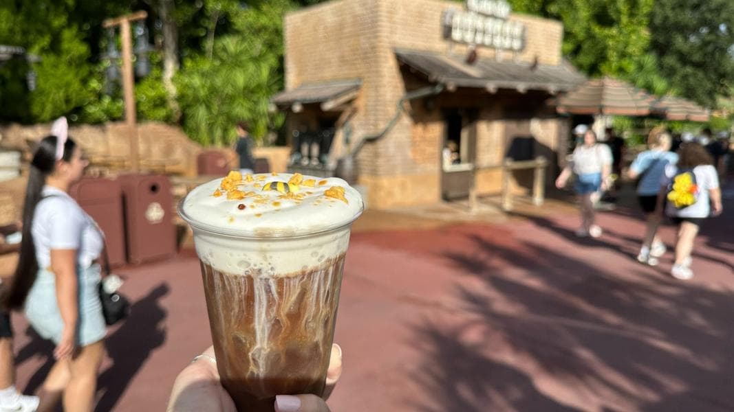 Honey-Lavender Cold Brew Tastes Like a Garden in a Cup at Magic Kingdom