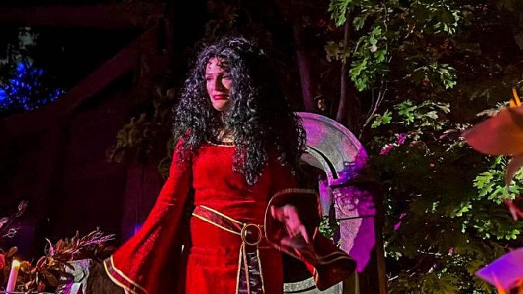 Come With Us To Meet 9 RARE Disney VILLAINS!